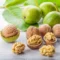 Fresh Walnuts