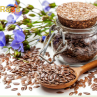 Flax Seeds