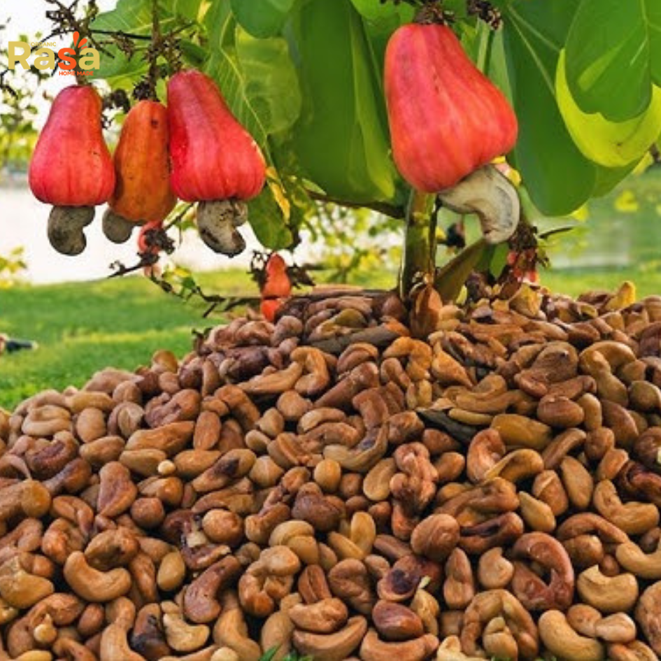 Cashew with Skin