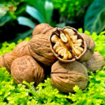 Walnuts