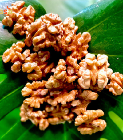 walnuts