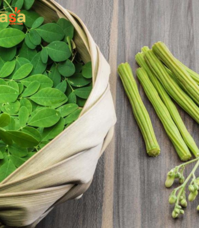 Moringa Powder