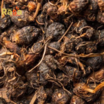 Nagarmotha Tea (Cyperus rotundus) – Premium Nut Grass Herbal Infusion | Pure Botanical Drink for Natural Lifestyle - Image 2