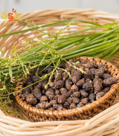 cyperus rotundus nagarmotha