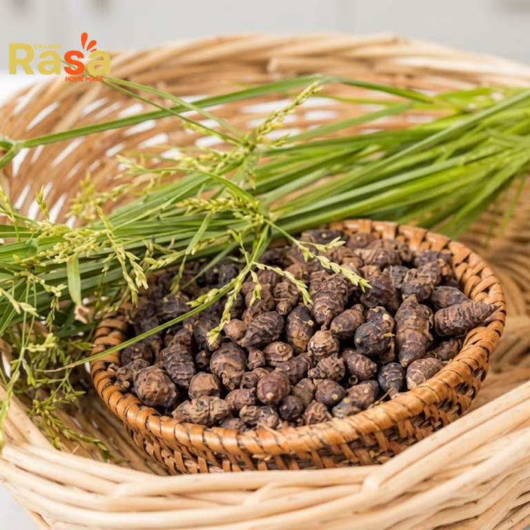 cyperus rotundus nagarmotha