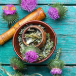 Milk Thistle Tea & Drink (Silybum marianum) – Premium Garden Fresh Herbal Infusion | Pure Beverage for Natural Lifestyle - Image 2