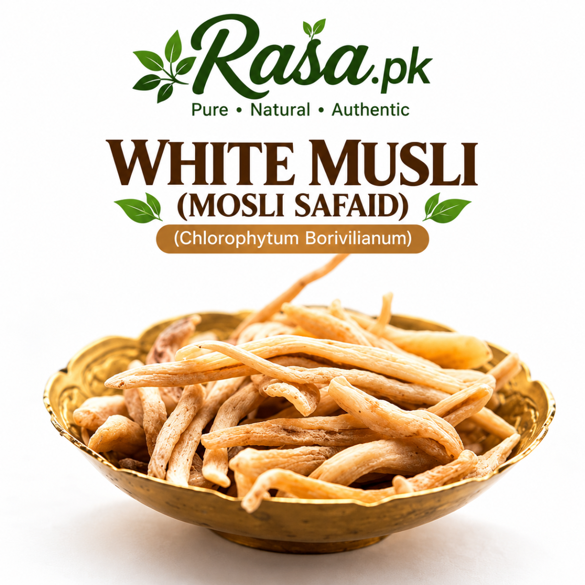 White Musli (Mosli Safaid) 🌿 Organic  – Chlorophytum borivilianum - Best and Pure Organic Premium Botanical Roots | Traditional Plant Heritage | Rasa.pk - Image 3